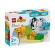 LEGO® DUPLO 10442 - Семействата на дивите животни: Пингвини и лъвове, снимка 1