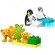 LEGO® DUPLO 10442 - Семействата на дивите животни: Пингвини и лъвове, снимка 2