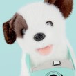 Studio Pets Плюшено куче Муци с фотоапарат, 16 см, снимка 3